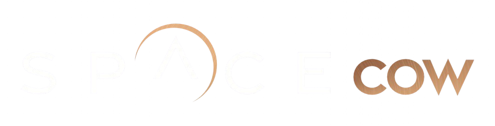 Space Cow logo